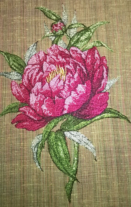 WP_20170603_17_39_13_Pro