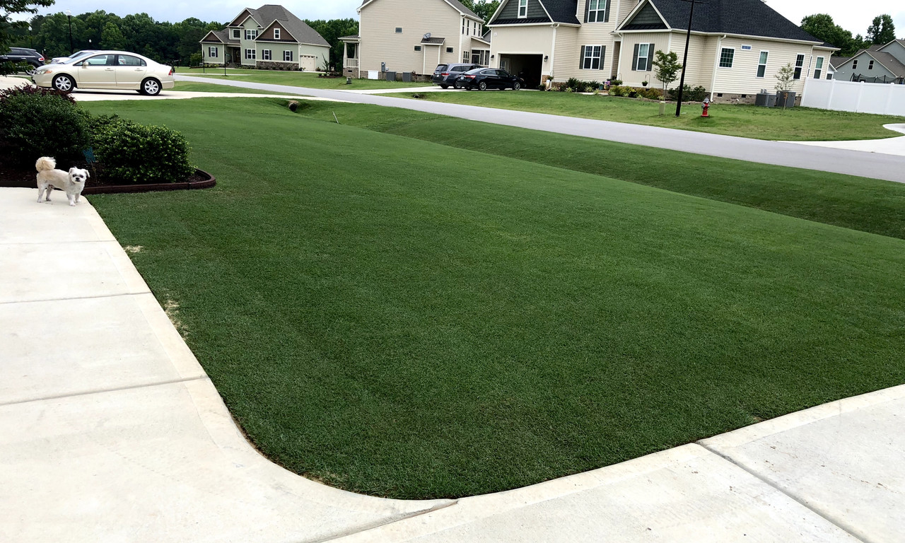 5C6F55A9-118A-45B3-95A7-B83431A26F50