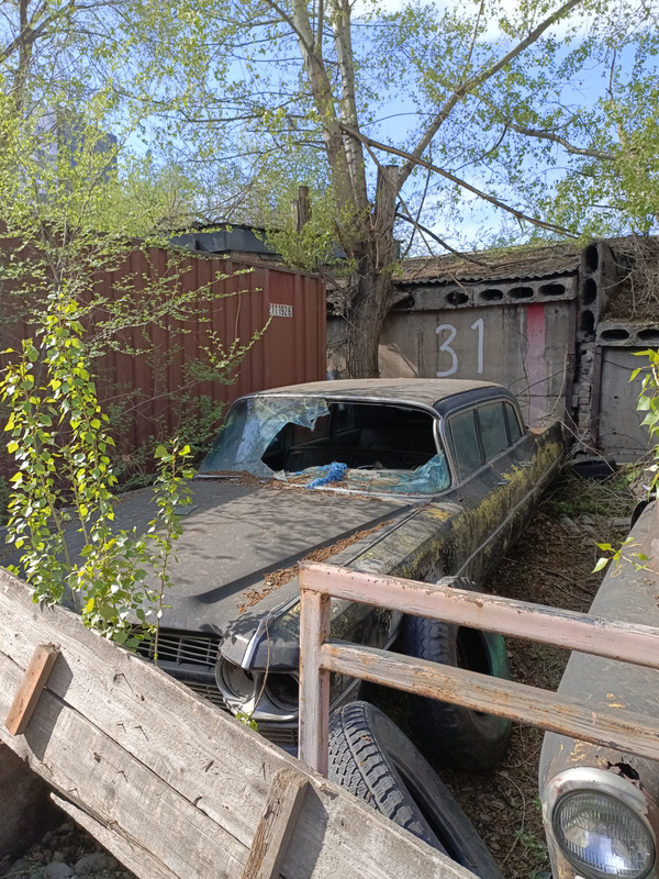 IMG_20240517_161652_870