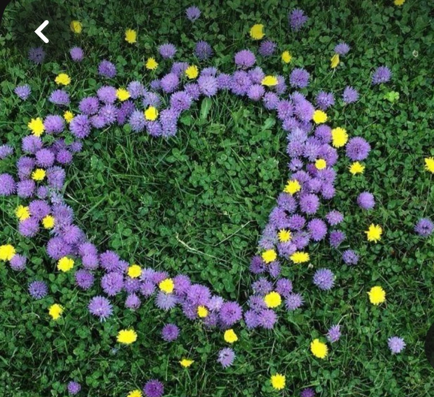 Screenshot_20240214_114538_Pinterest