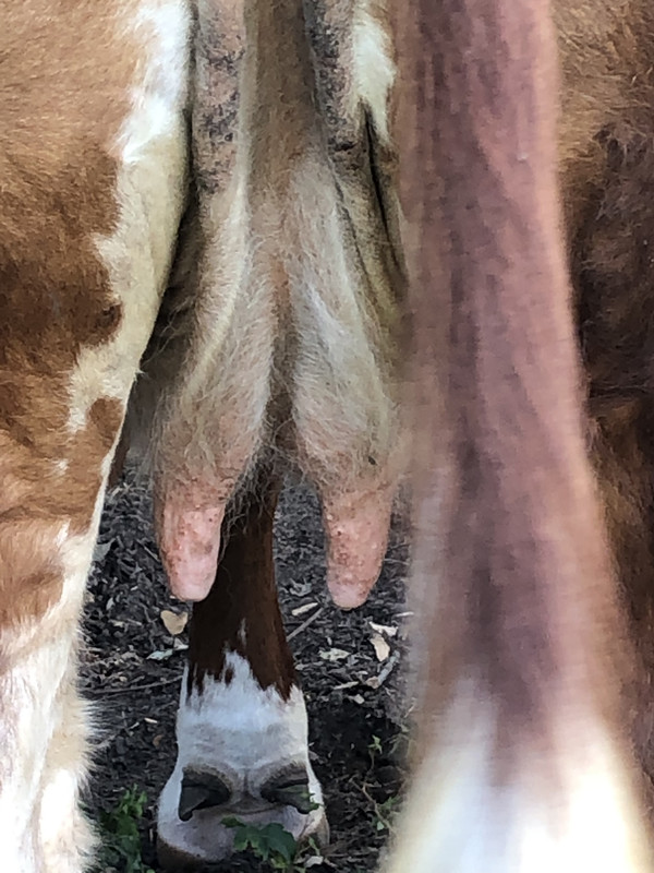 86D40054-39C2-4676-8A59-DB15EC8C770B