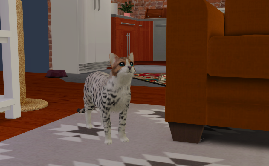 Sims2-EP9-RPC-2021-05-19-17-14-28-37