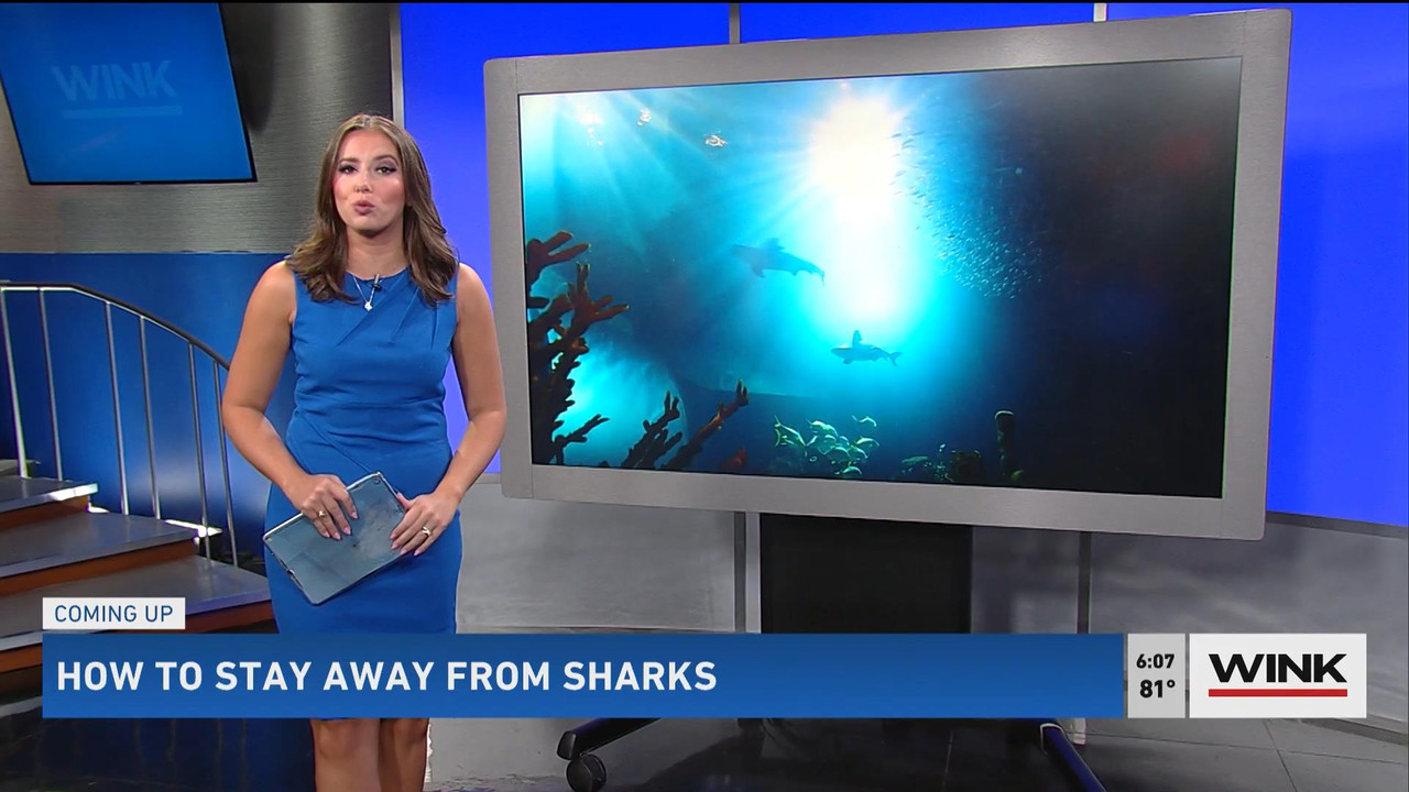 08.01 - 11.00.00 - WINK News @ 6 00AM Sunday. Local news, sports and ....ts_snapshot_00.07.18_[2021.