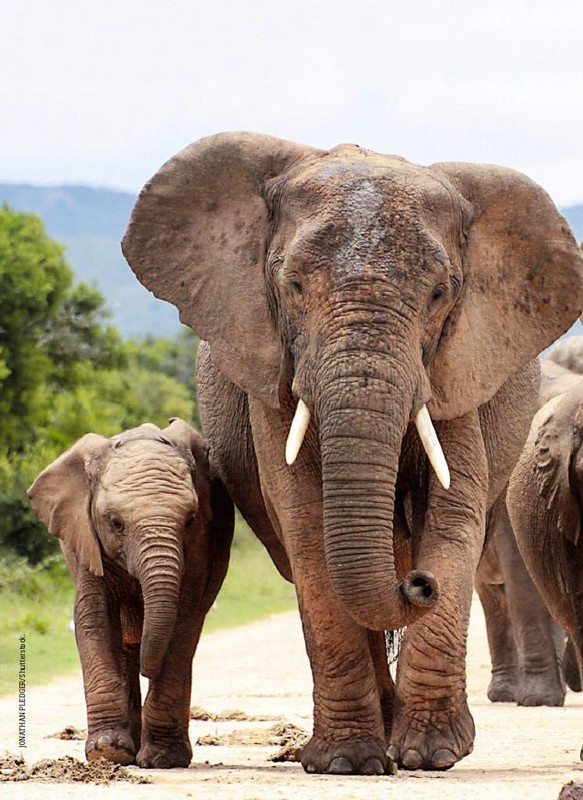 Foc Wil - Mag 2023 (5)