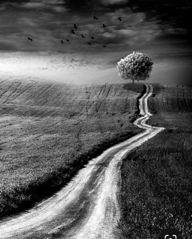 Screenshot_20230804_233916_Pinterest