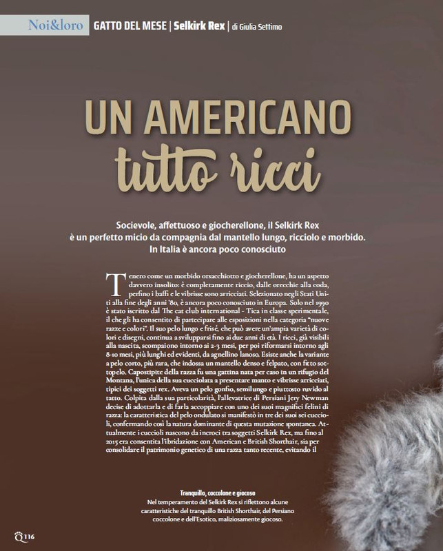 QuattroZampe Feb 2022 (11)