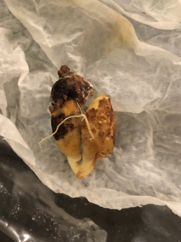 8708383C-B8AD-4515-BA8D-708CB0C2907A