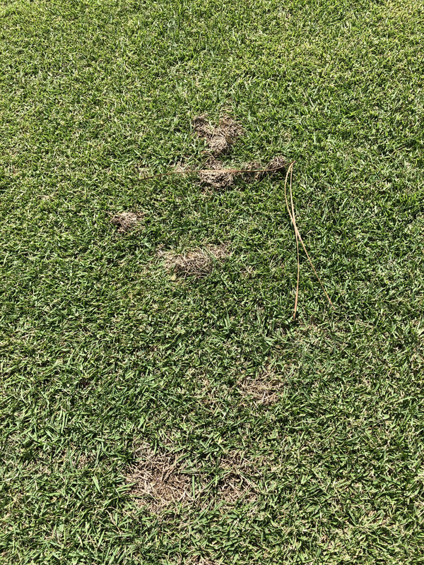 F299721B-D4D1-40DE-9AB9-B6AFCA2A56CA