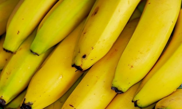 can parrots have bananas