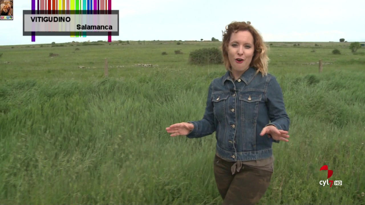 marianietoculazoHECHO_oso3g (13)