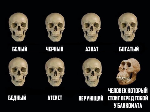 19609306.jpg
