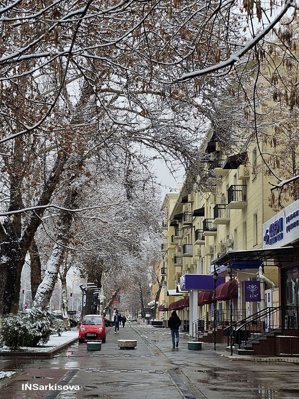 421889533-1315999805719430-6677068568625757277-n