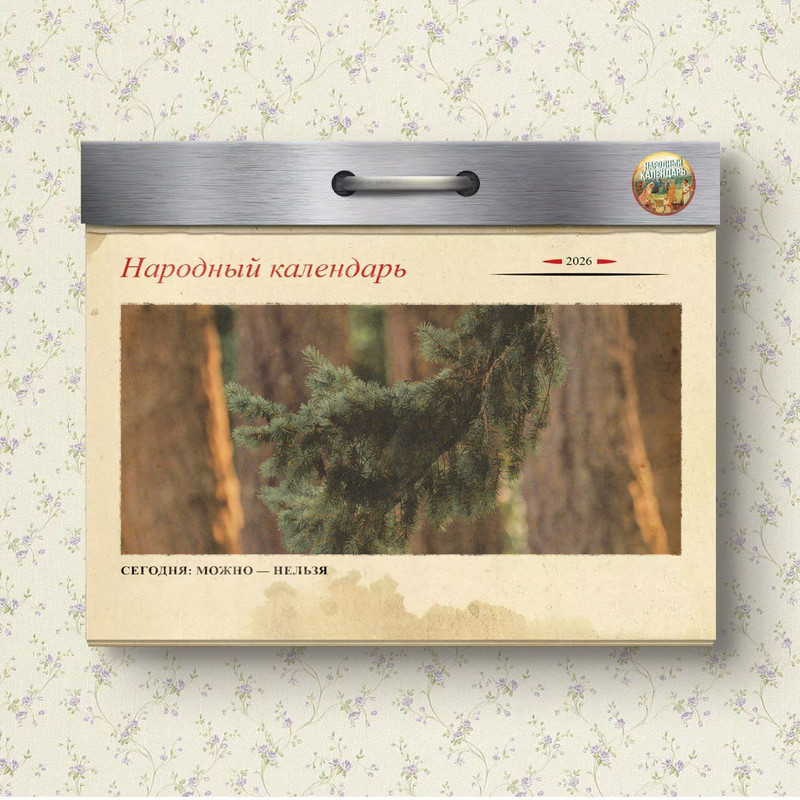 [Изображение: photo-2026-03-11-04-55-17.jpg]