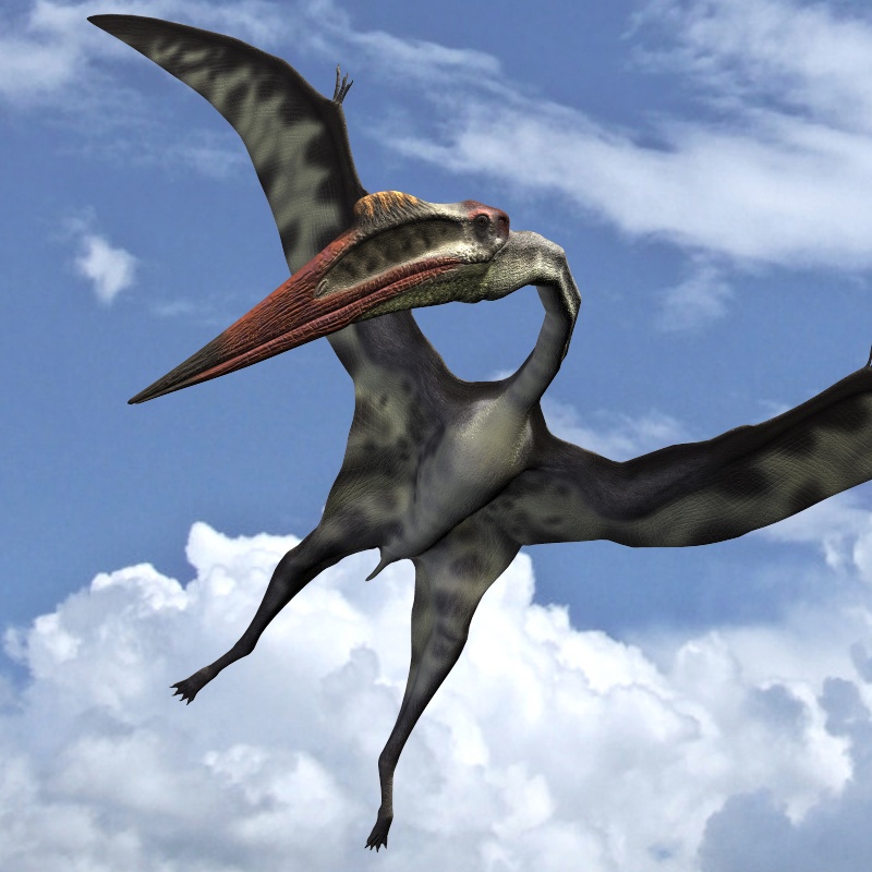 QuetzalcoatlusDR QuetzalcoatlusDR