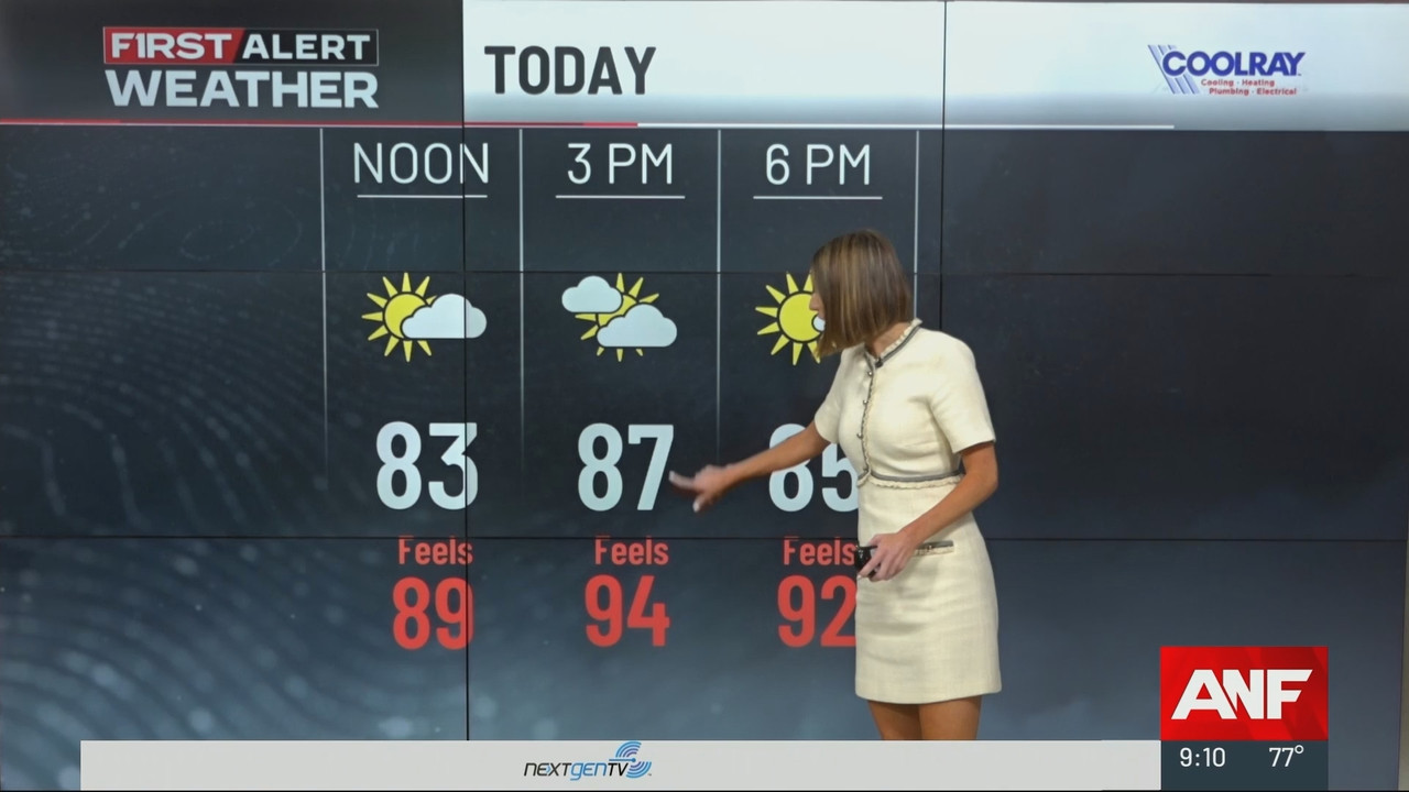 Atlanta News First at 9am_20250617_14001430.ts_snapshot_11.26.745