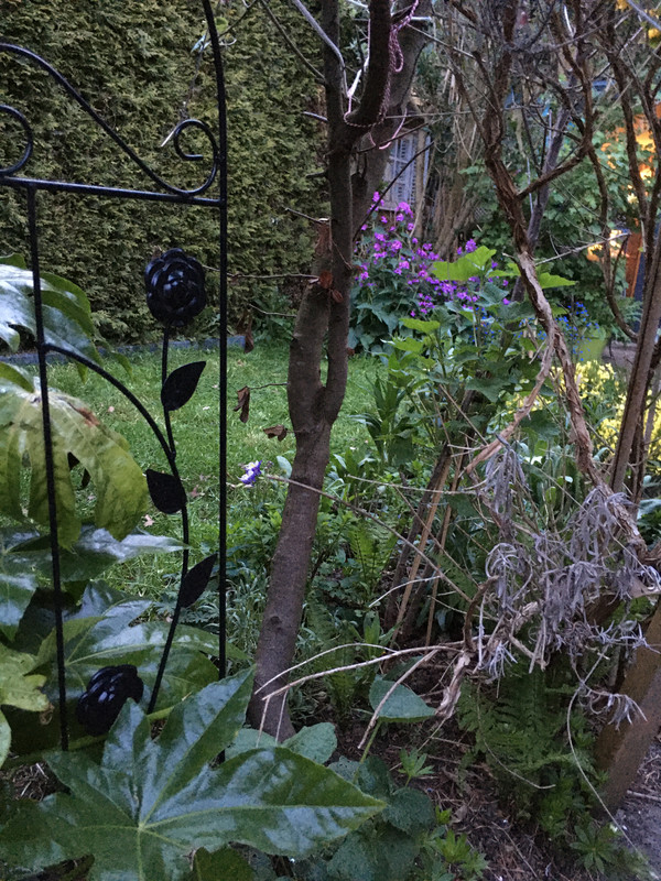 D0081127-980B-4A4B-B167-49243425BECC