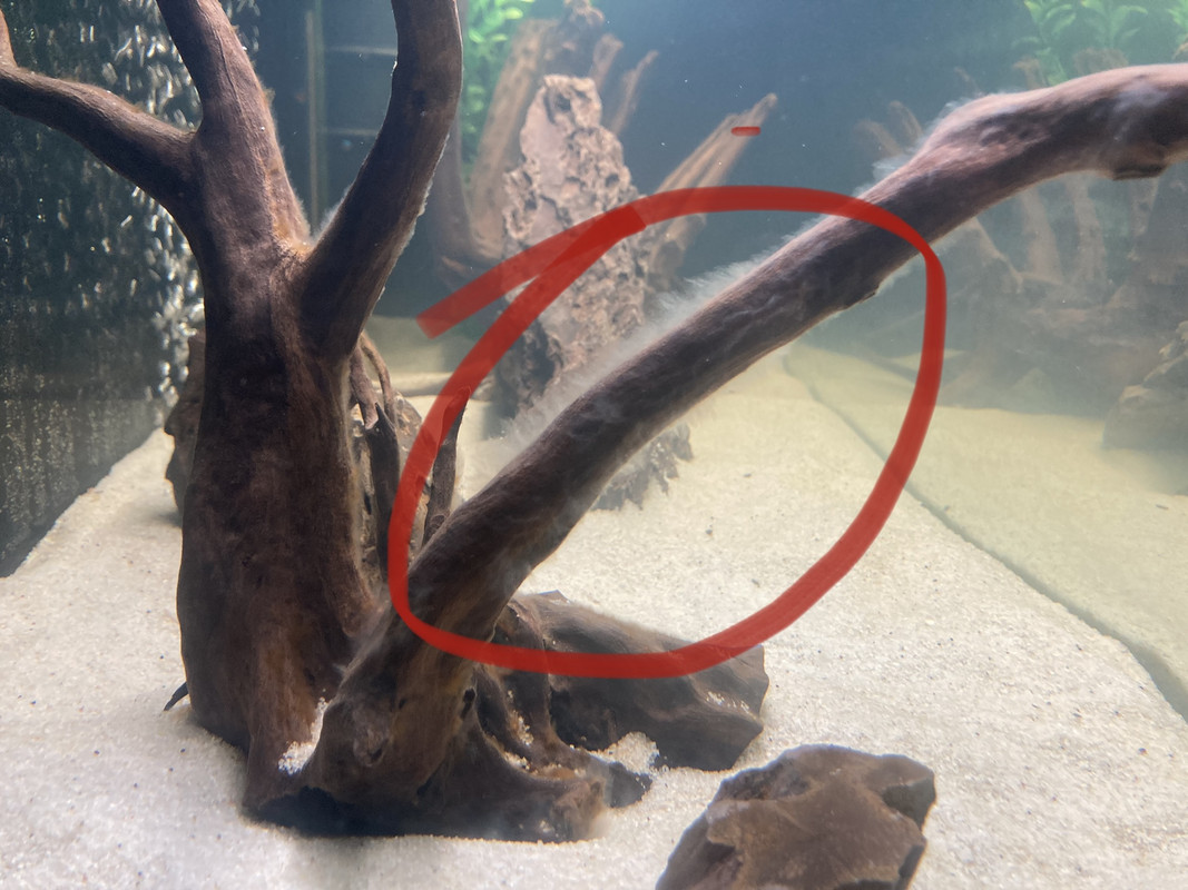 D5A6F3E2-4245-412A-8125-3848B94A323A