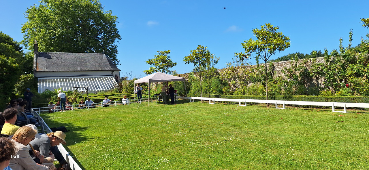 [Image: 20250615-163506.jpg]