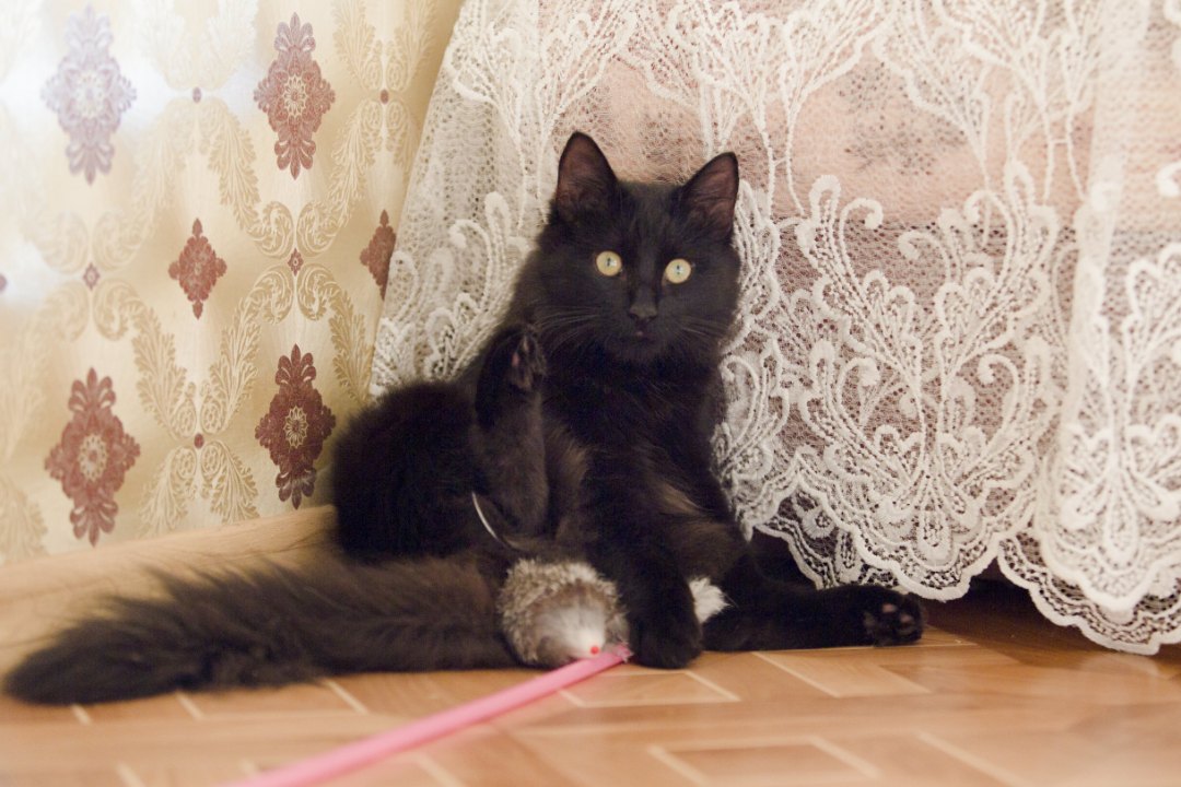 Фунтик_19_10_6