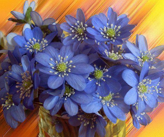 653077633-4313287305602569-1554843387276543057-n