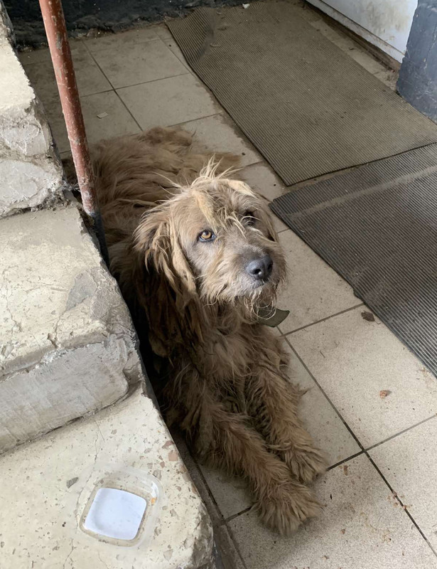 59B11382-3EBE-4503-9D08-743770DA2FC4