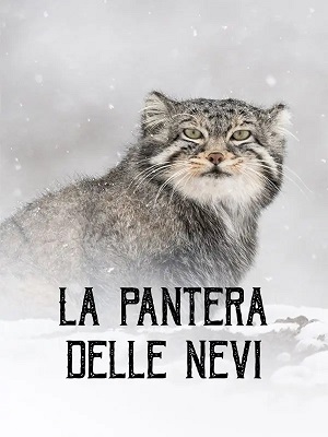 La pantera delle nevi (2021) .mkv DLMux 1080p AAC ITA