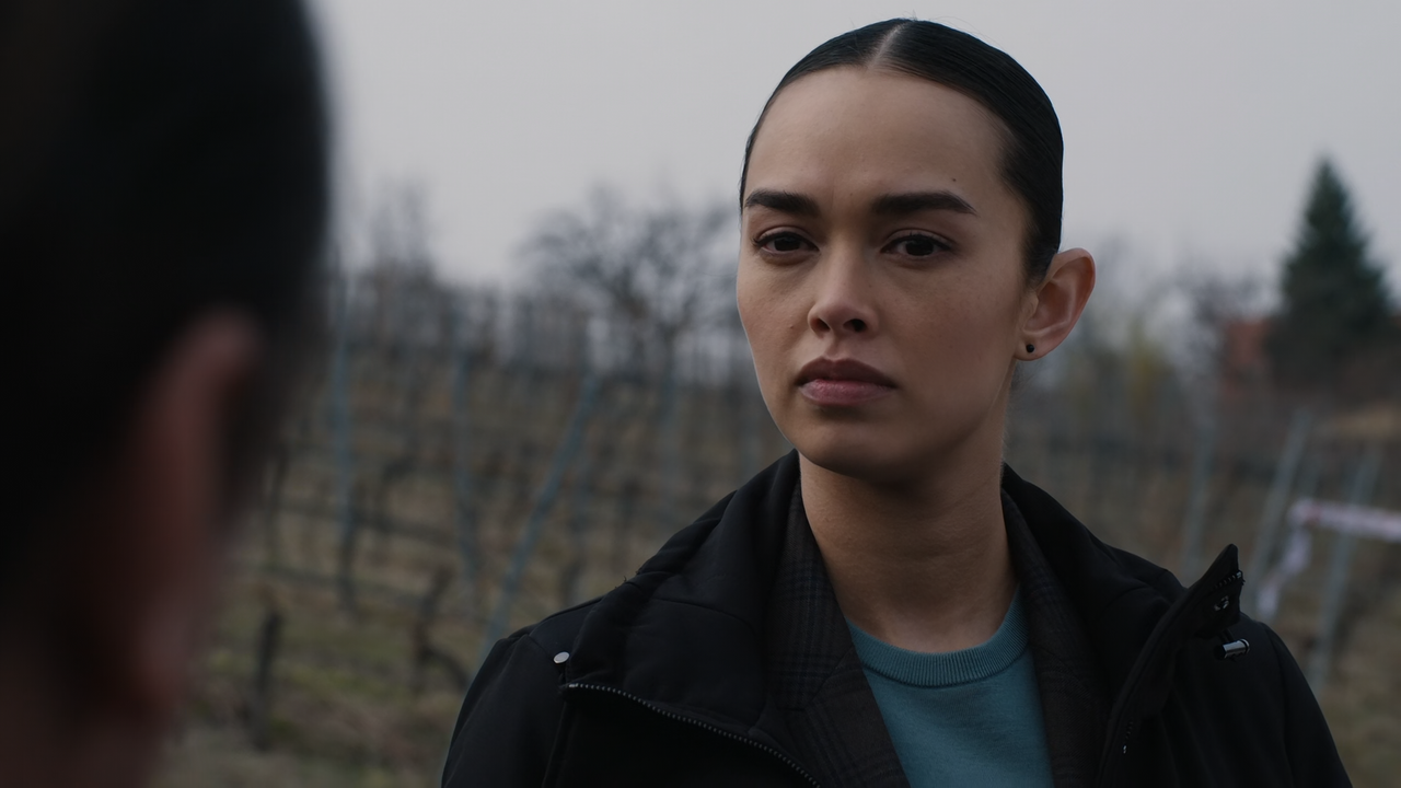 FBI.International.S01E17.Uprooting.1080p.10bit.AMZN.WEB-DL.DDP5.1.HEVC-Vyndros.mkv_snapshot_07.02_[2