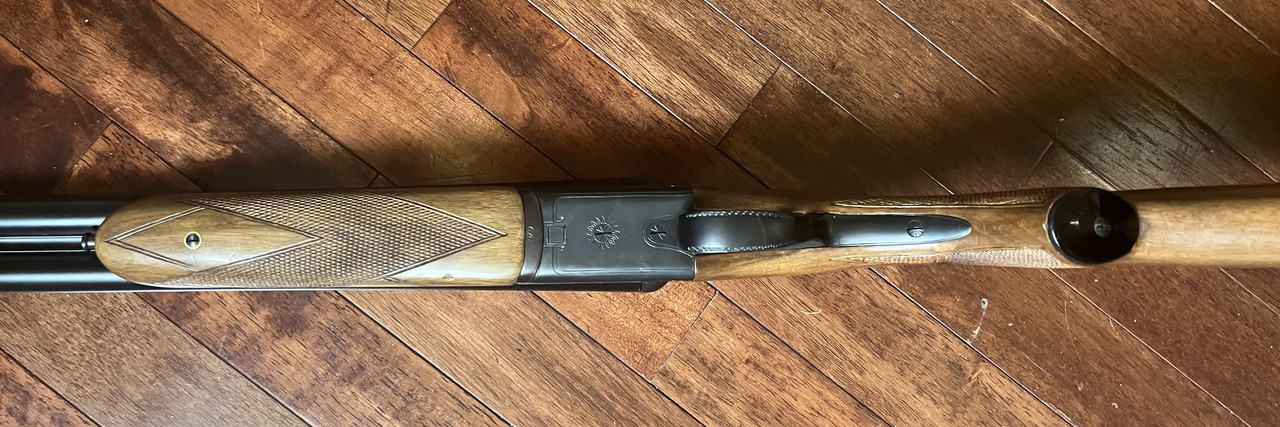 Photo Aug 17 2024, 2 00 59 PM