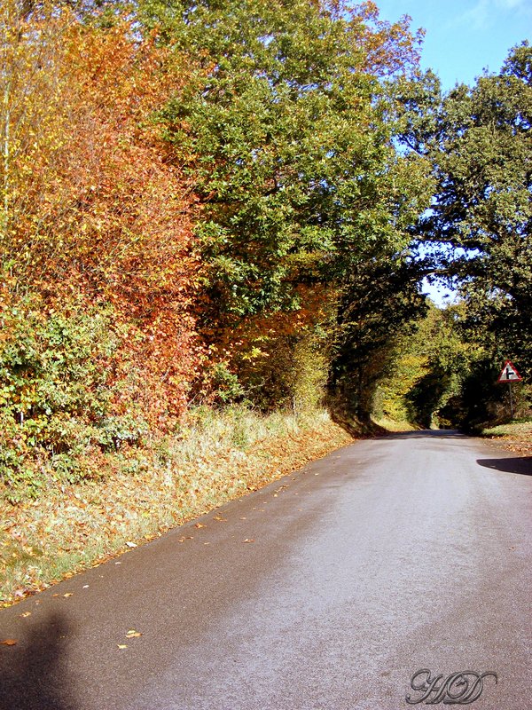 autumn-Lane-HD.jpg