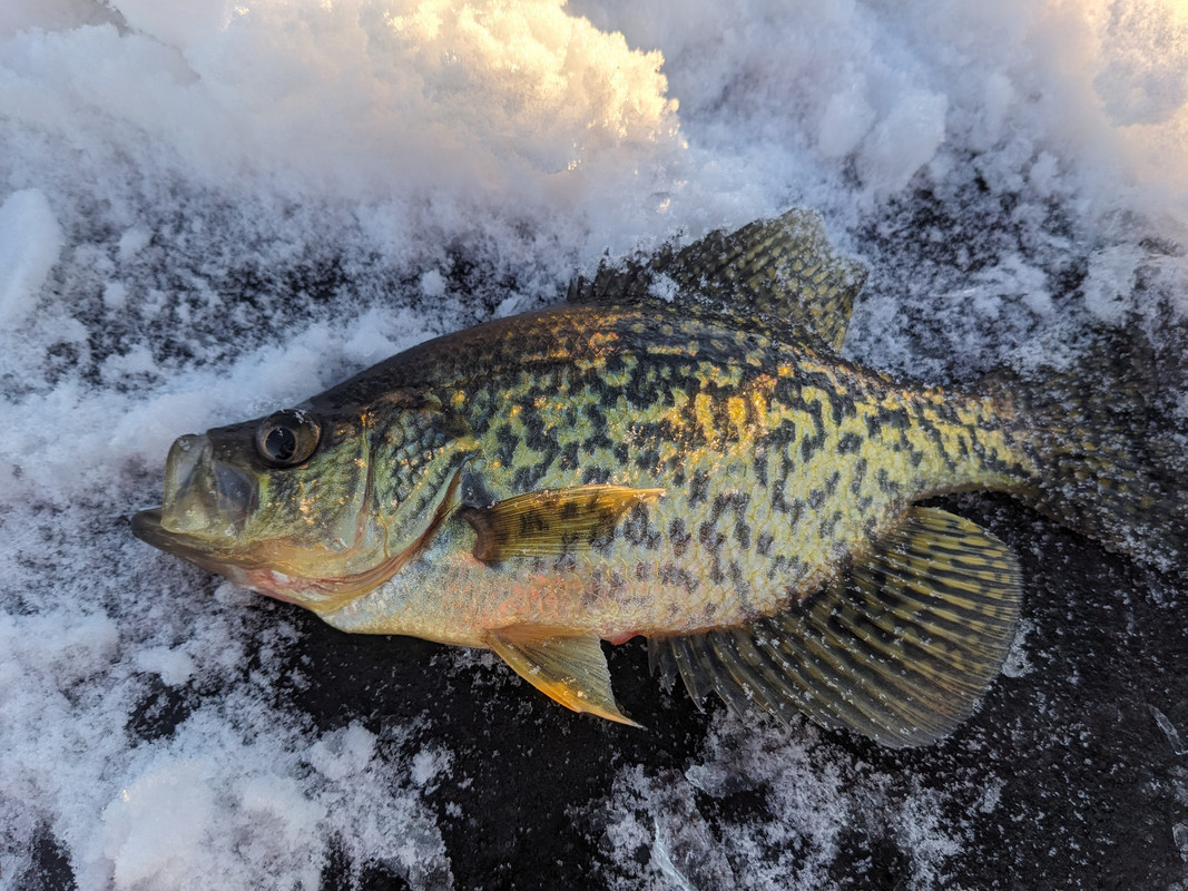 PXL_20250112_205501494 (1)