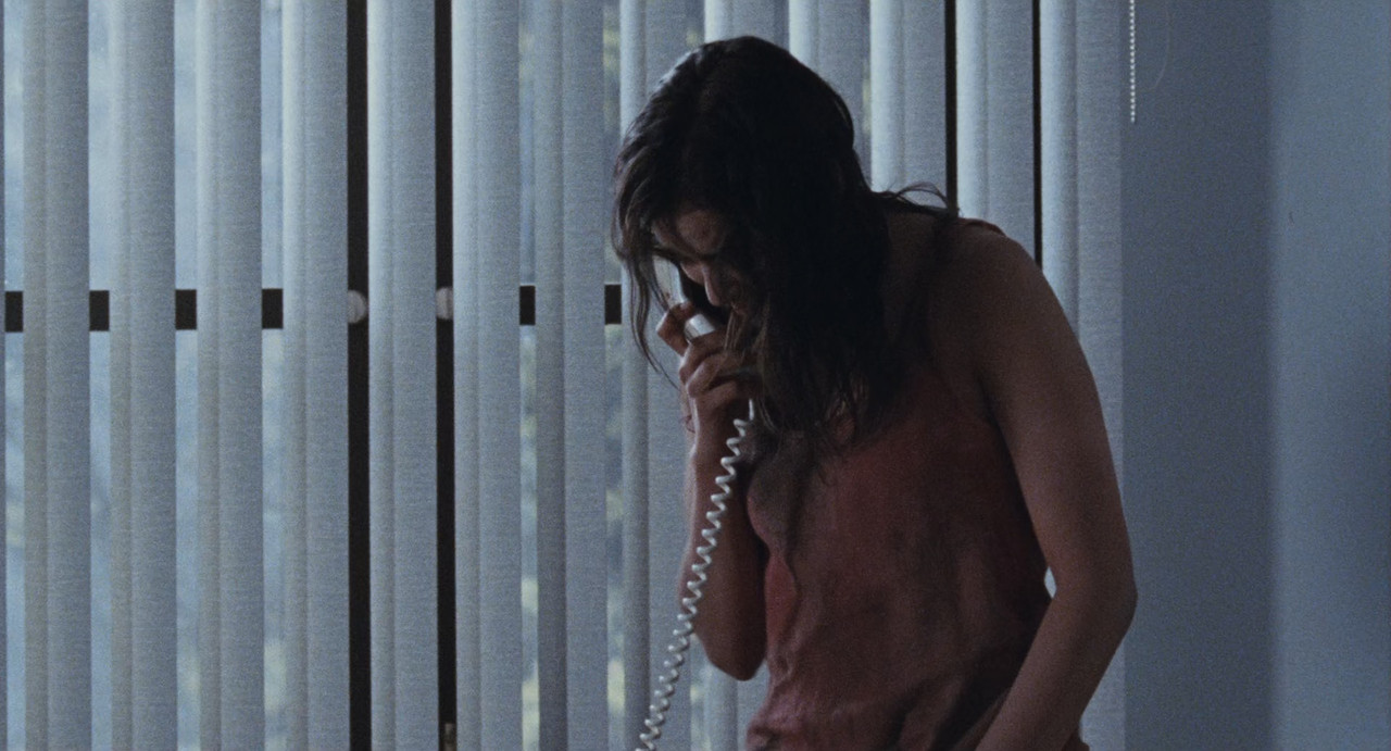 Martyrs 2008 (1080p x265 10bit Tigole).mkv_snapshot_00.46.21_[20