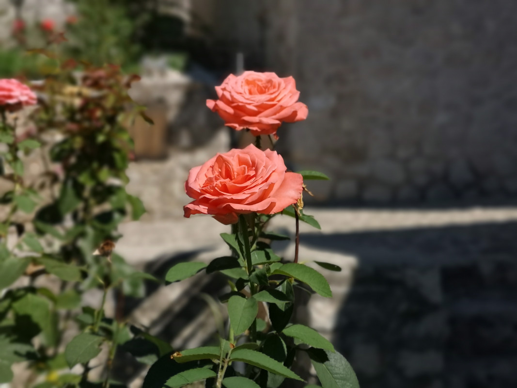 [Obrazek: IMG-20190805-102032.jpg]