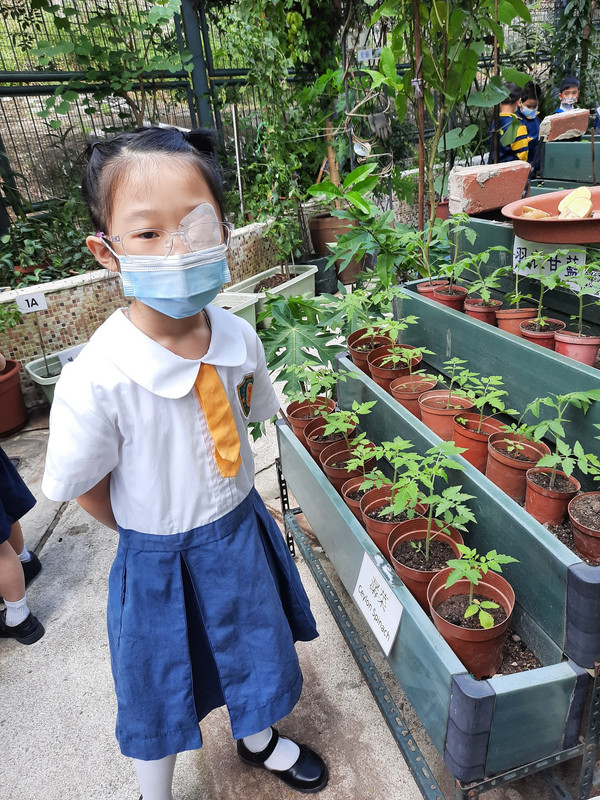 photo-littlefarmer2223-1A-014