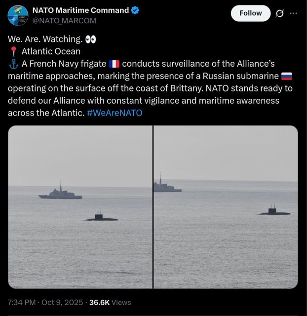 https://i.postimg.cc/28Xr7kS9/IMG-2854.jpg
