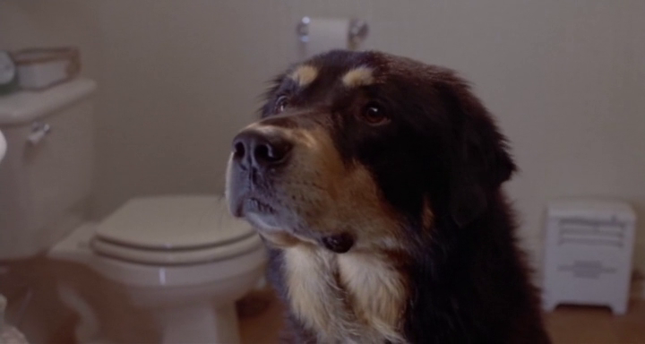 vlcsnap 2026 04 07 18h53m23s094