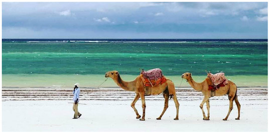 diani-beach-ko-gr-ezivlj-svjo-pot-anetta-starowizzc