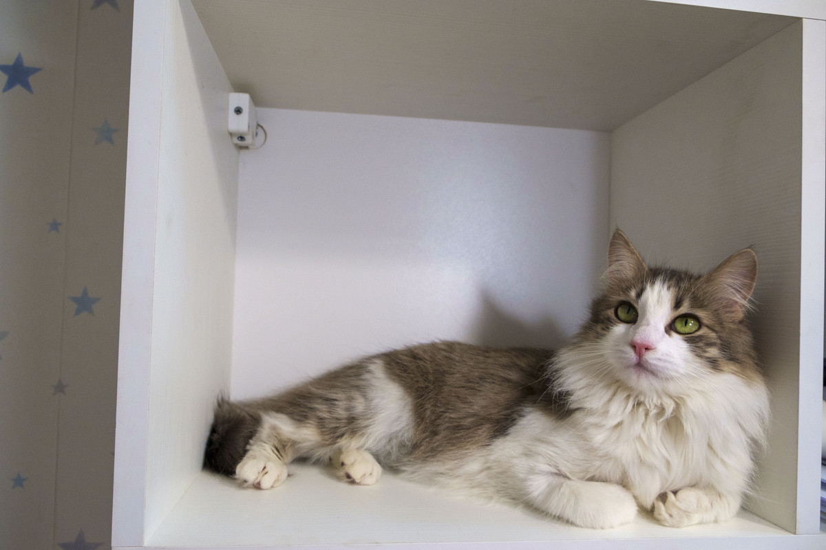 лизализа22лиза