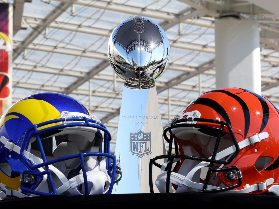 Delfín predice el ganador del Super Bowl 2022