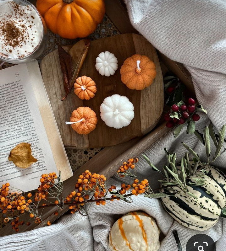 Screenshot_20231015_205055_Pinterest