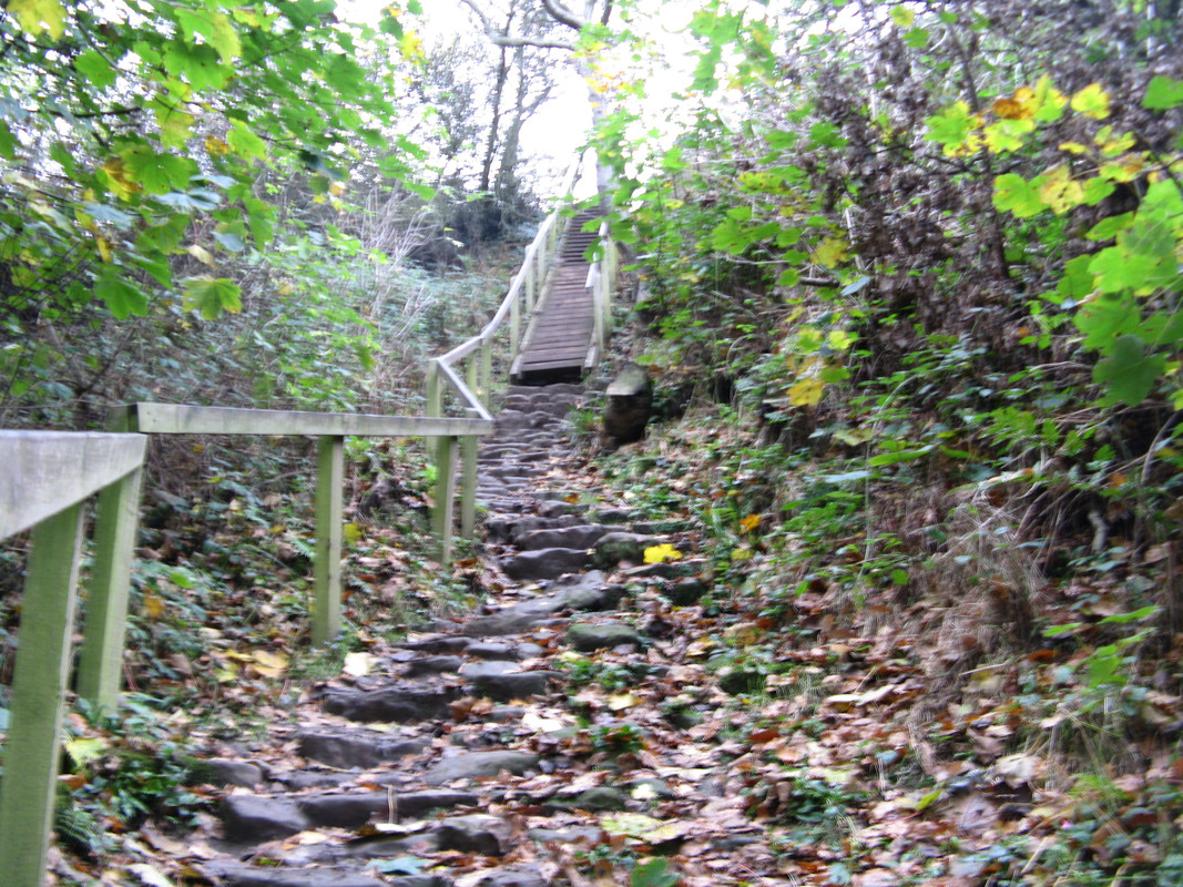 B7AF6C42-5295-4E74-8B43-2348C298655F