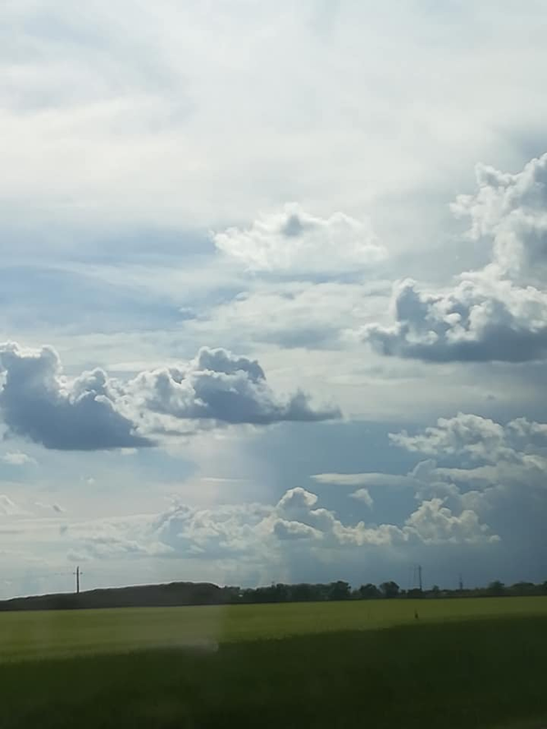 Kép