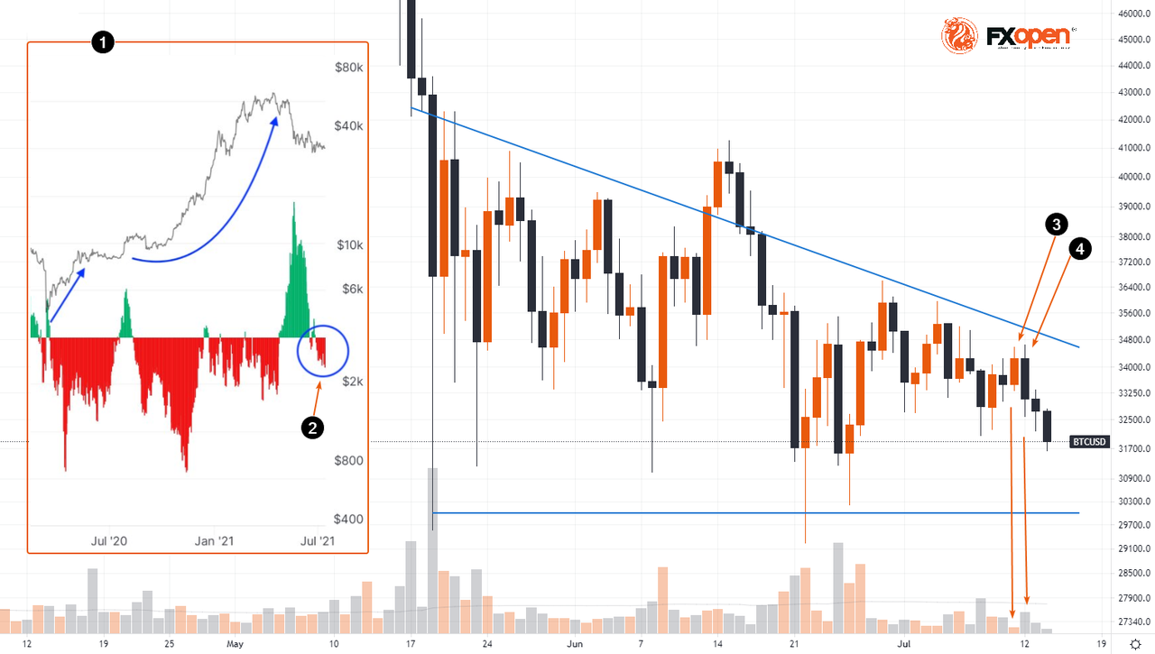 Daily Market Analysis By FXOpen in Fundamental_btcusd