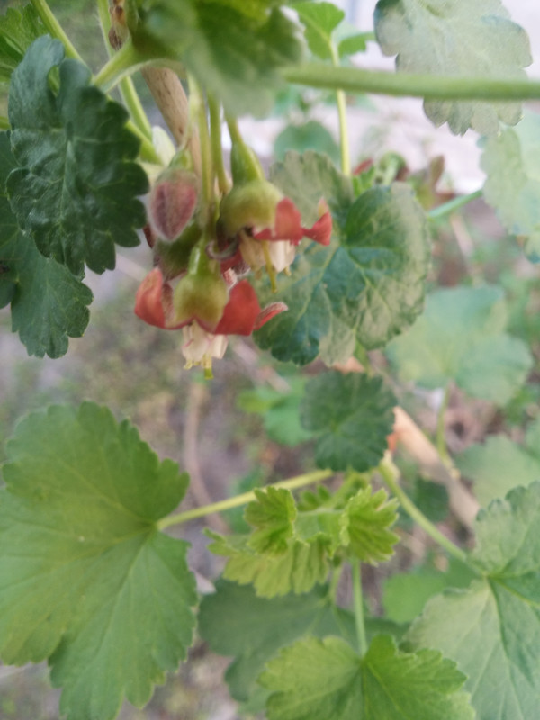 20190324_171310