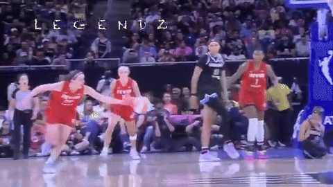 wnba.gif
