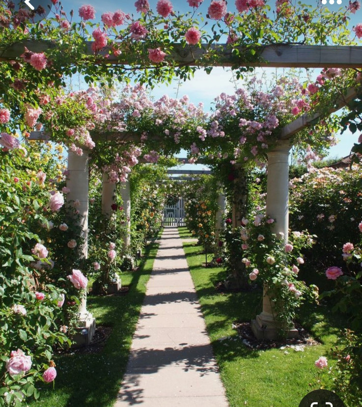 Screenshot_20240204_175706_Pinterest