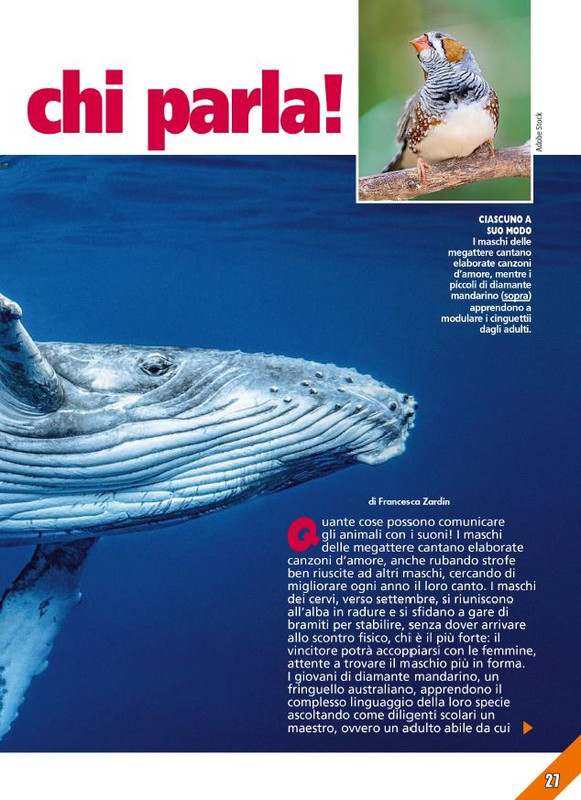 Foc Wil - Lug 2024 (10)