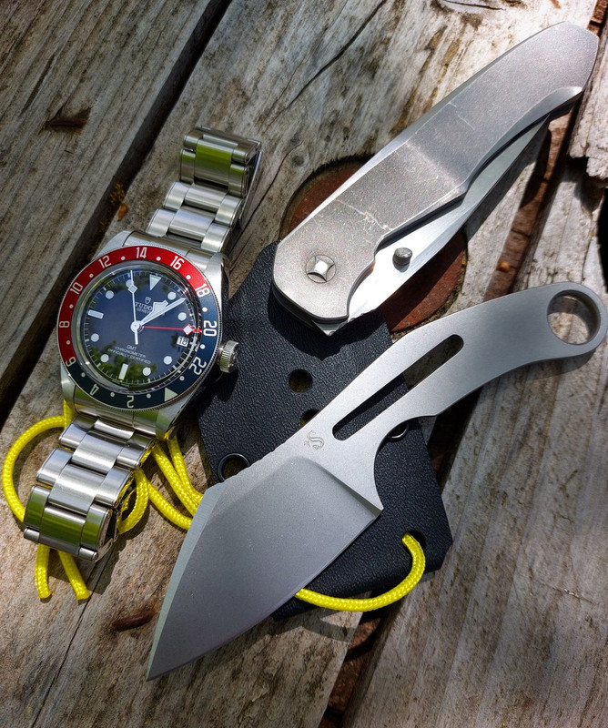 Tudor Black Bay GMT - tome 2 - Page 19 IMG-20220418-145345-124