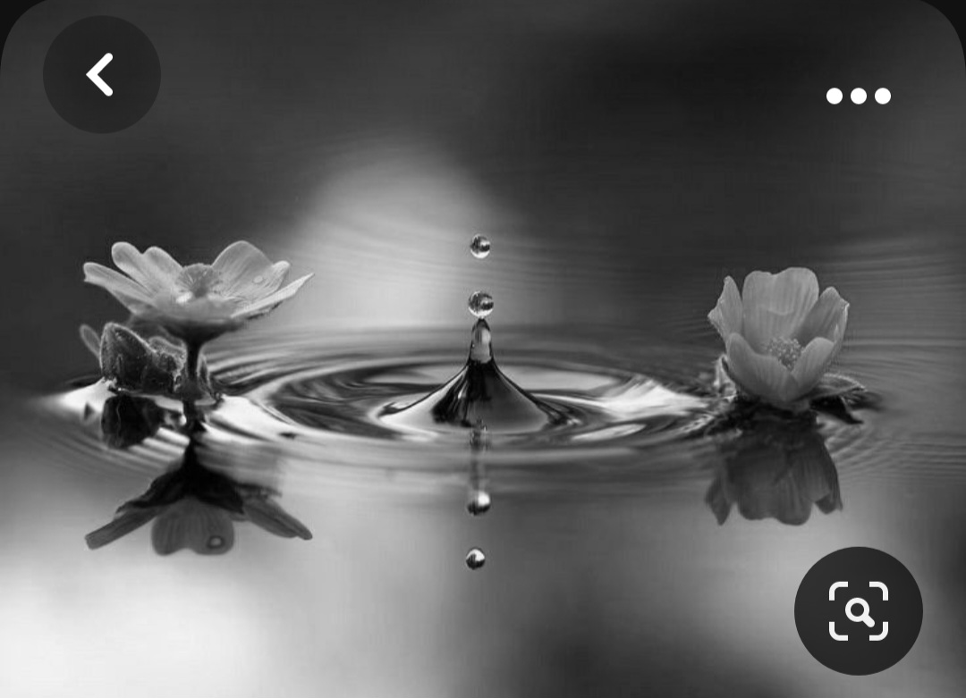 Screenshot_20230928_205015_Pinterest