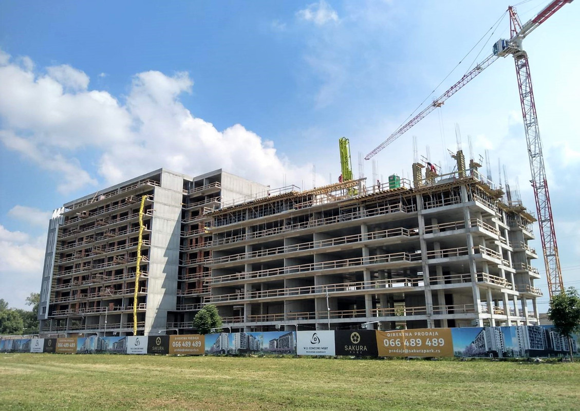 Сакура3 2020-06-09