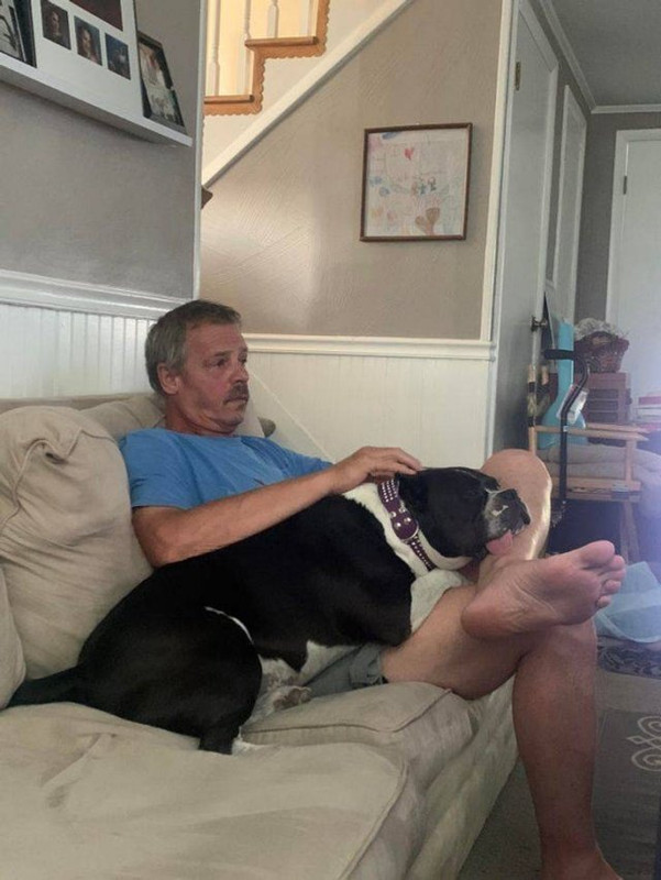 Pets-6